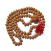 6 Face Rudraksha Mala with 6 Face Nepali Rudraksha