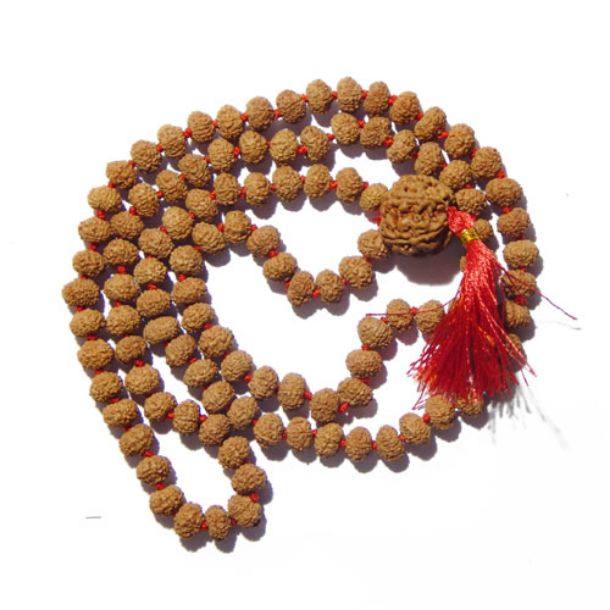 6 Face Rudraksha Mala with 6 Face Nepali Rudraksha
