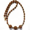 5 Face Nepali Rudraksha in 5 Face Indonesian Rudraksha Mala 
