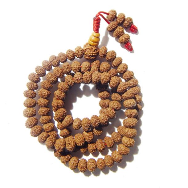 7 mukhi rudraksha mala