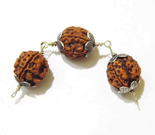 Four Face (Mukhi) Rudraksha