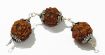 Four Face (Mukhi) Rudraksha mala