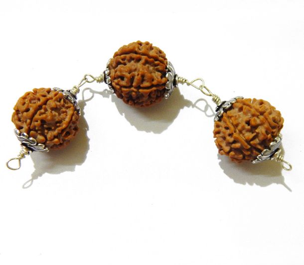Six Face (Mukhi) Rudraksha Bracelet