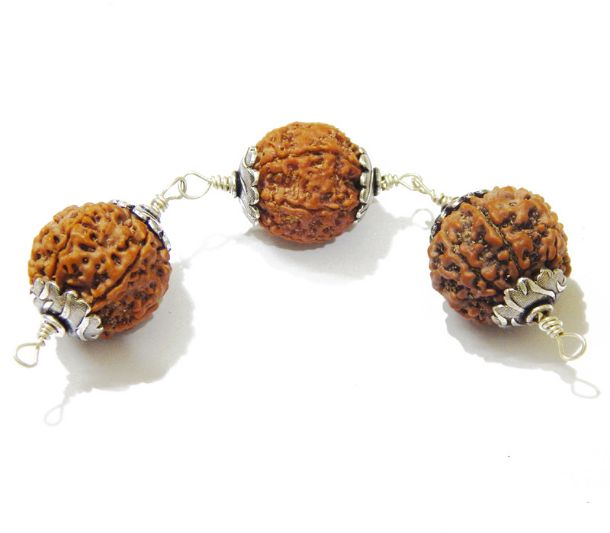 Seven Face (Mukhi) Rudraksha Bracelet