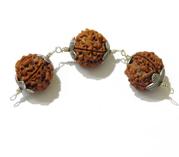 Five Face (Mukhi) Rudraksha Mala