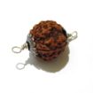 Four Face Rudraksha with Double Loop