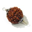 Six Face Rudraksha with Double Loop